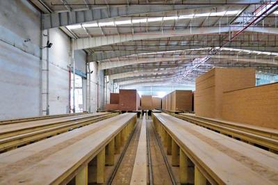 建豐新材料 建一座工廠，護(hù)一方山林，富一方百姓